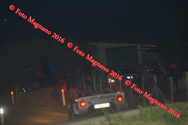 DSC_8135.JPG